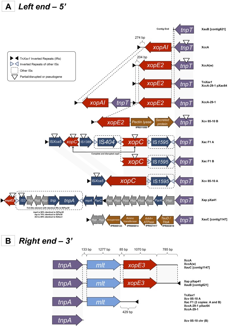 FIG 2 