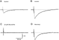 Fig. 9.