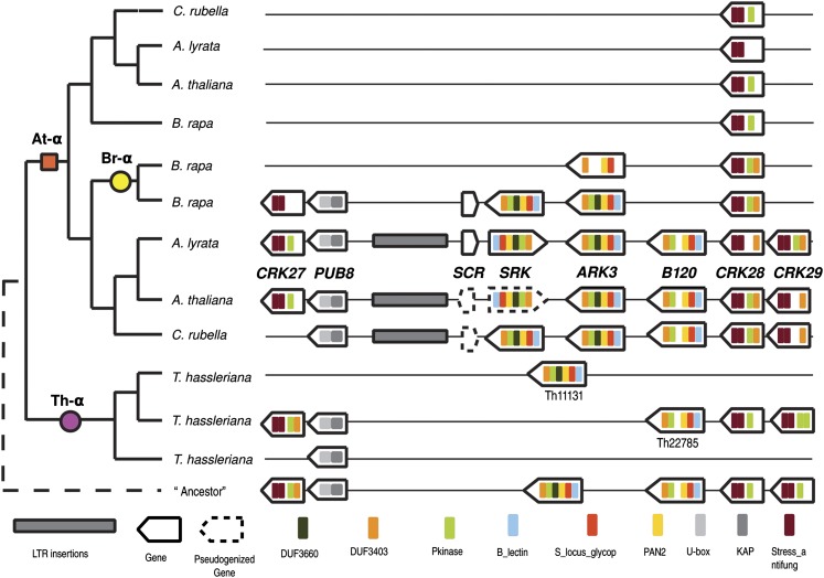 Figure 6.