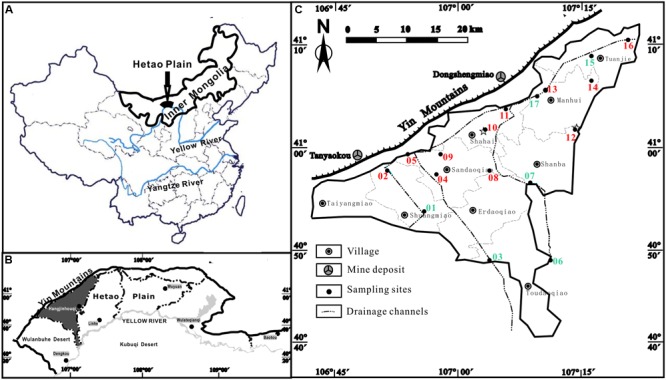 FIGURE 1