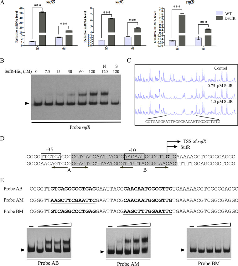 FIG 3