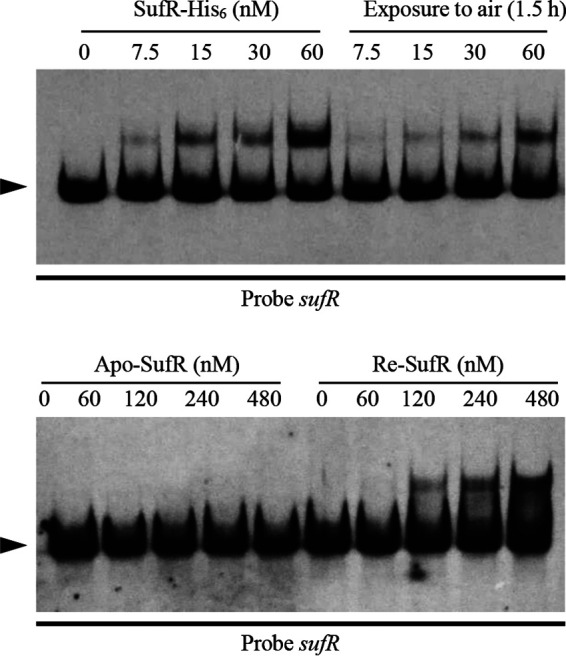 FIG 4