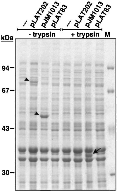 FIG. 3