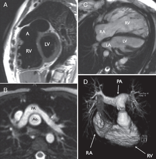 Figure 1)