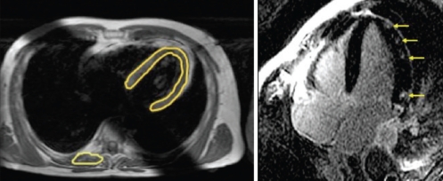 Figure 6)