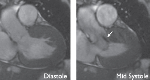 Figure 5)