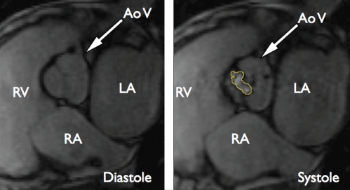 Figure 4)