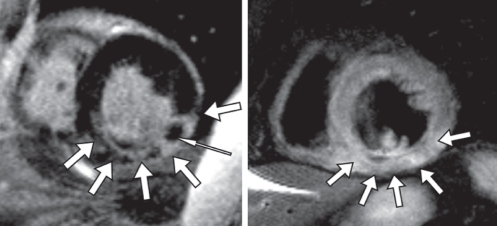 Figure 3)