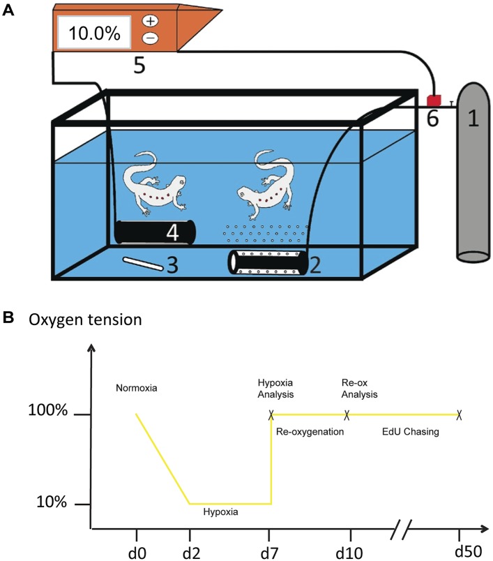 Figure 1—figure supplement 1.