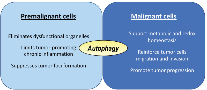 FIG. 2: