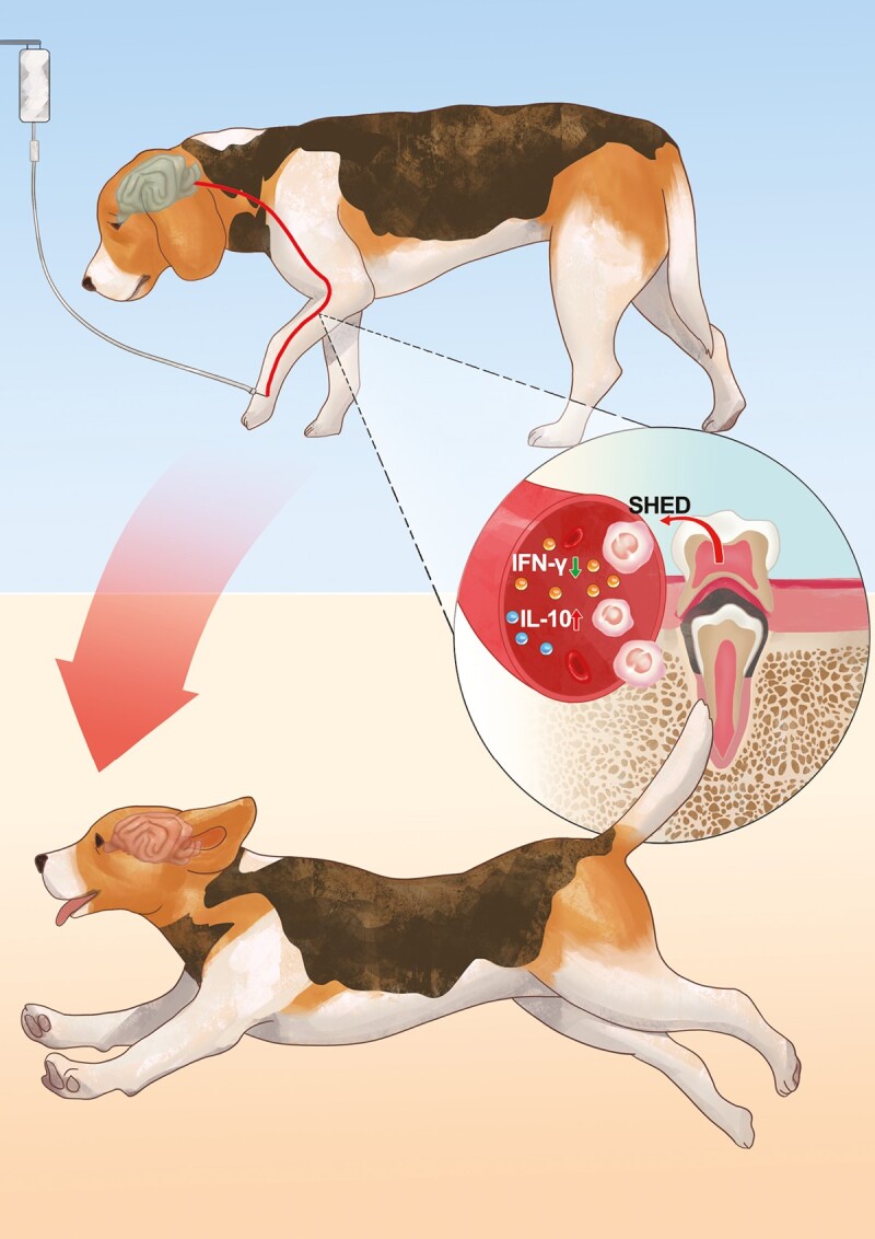 Graphical Abstract