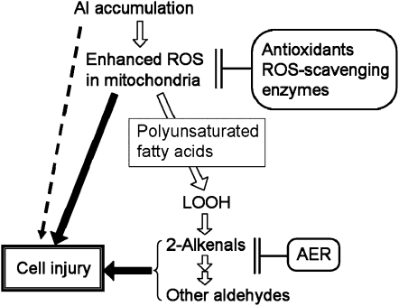 Figure 11.