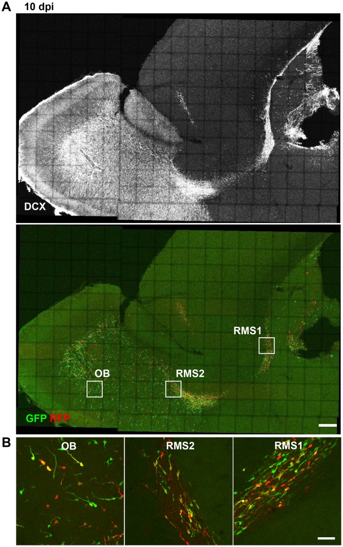 Figure 10