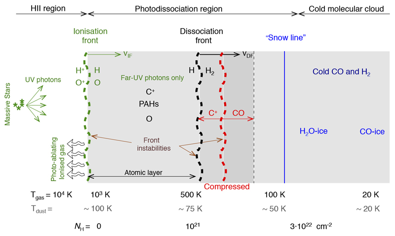 Extended Data Figure 1