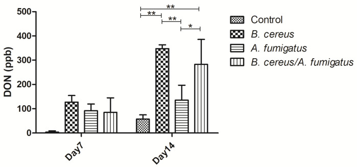 Figure 10