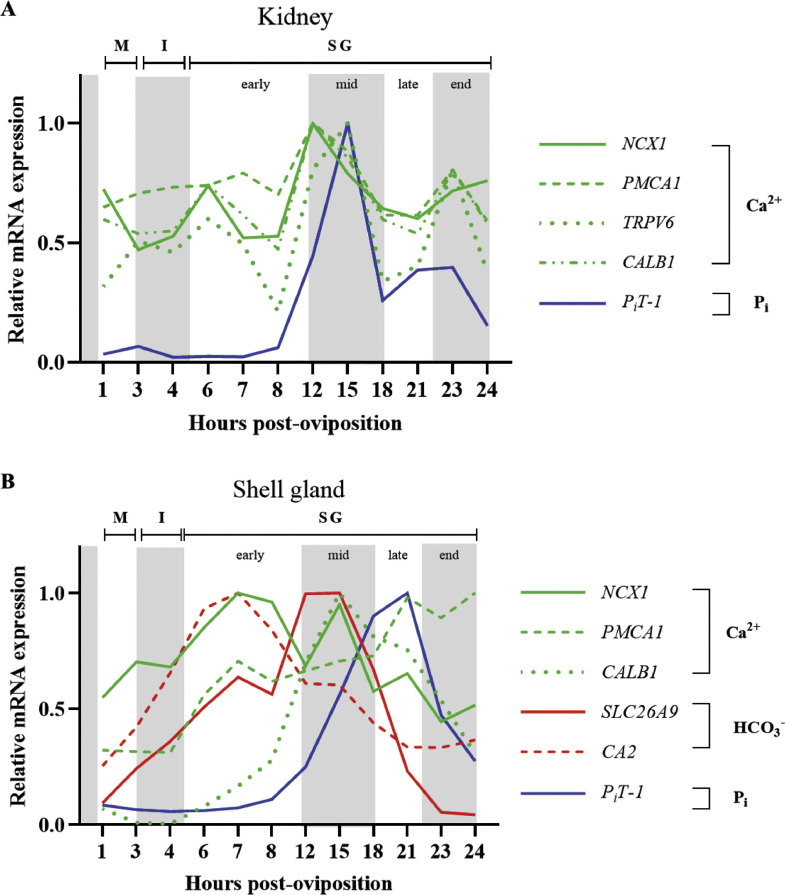 Figure 11