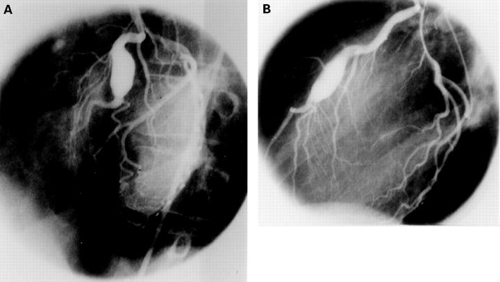 Figure 1  