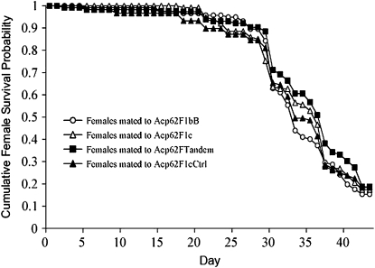 Figure 4.—