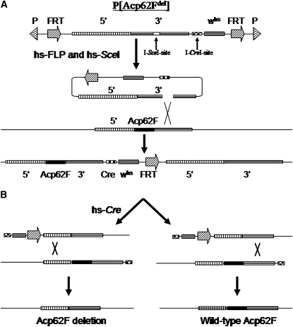 Figure 1.—