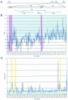 FIG. 2.