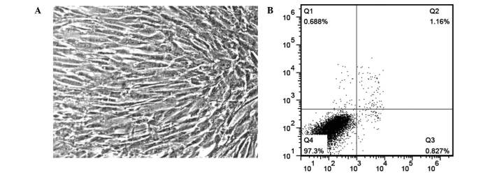 Figure 1.