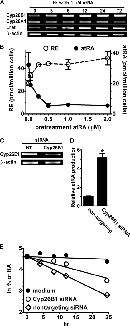 FIGURE 9.