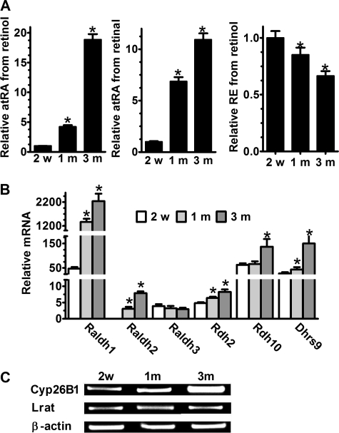 FIGURE 10.