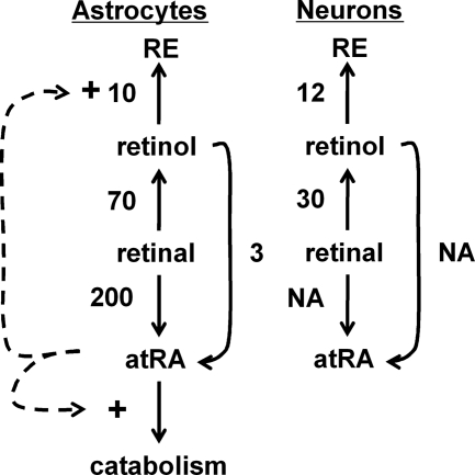 FIGURE 11.