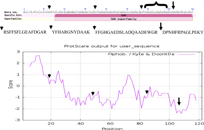 Fig. 7