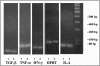 FIG. 1.