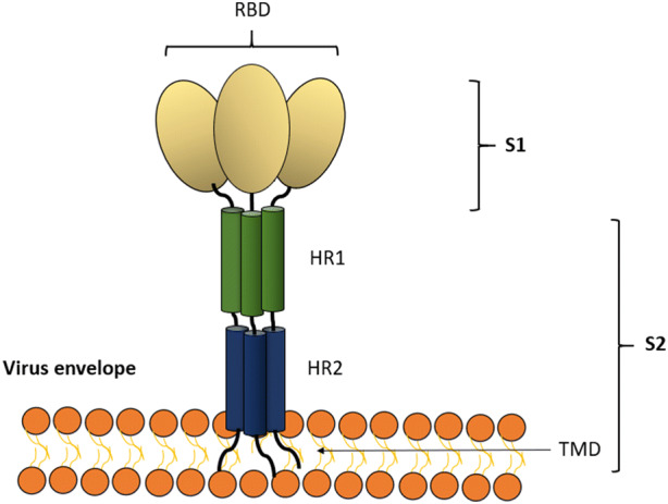 Fig. 1