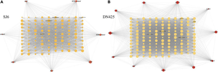 FIGURE 11