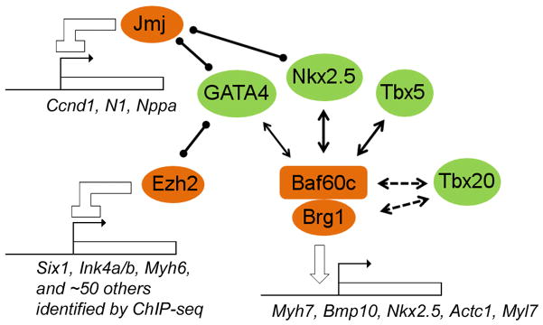 Figure 7