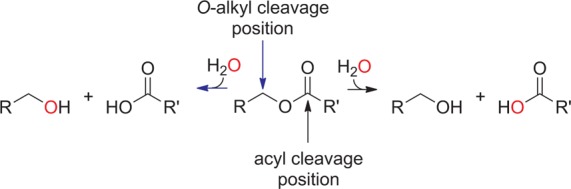 Figure 28