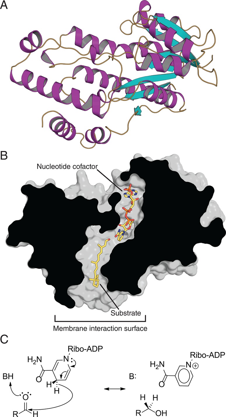 Figure 20