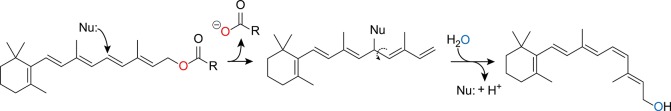 Figure 29