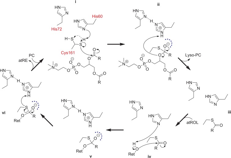 Figure 23