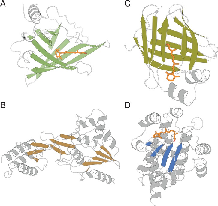 Figure 32