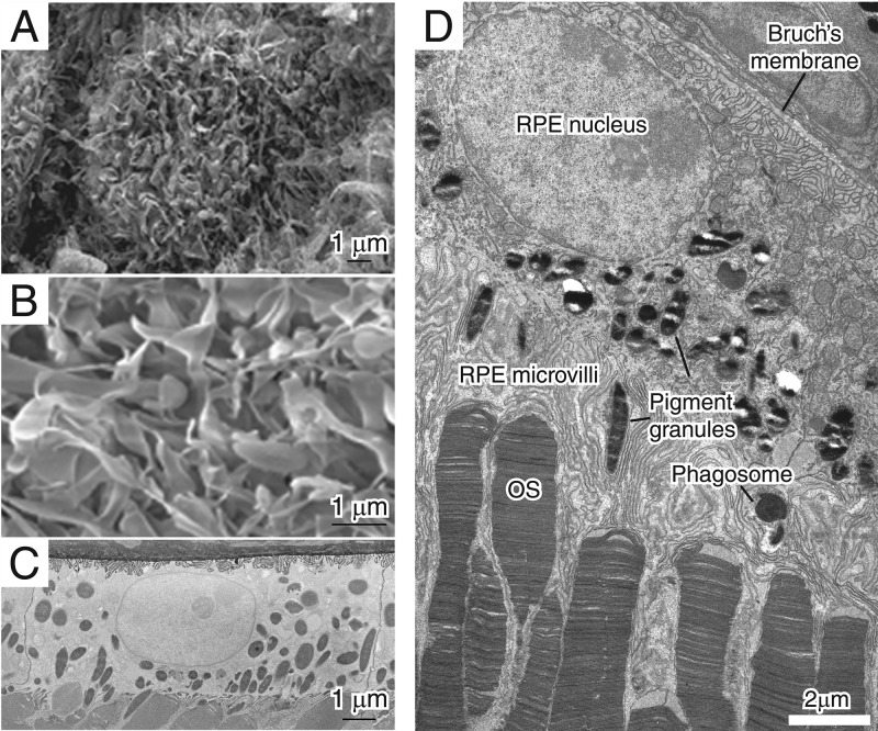 Figure 14