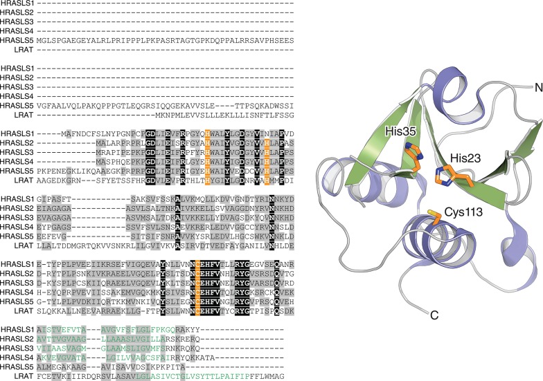 Figure 22