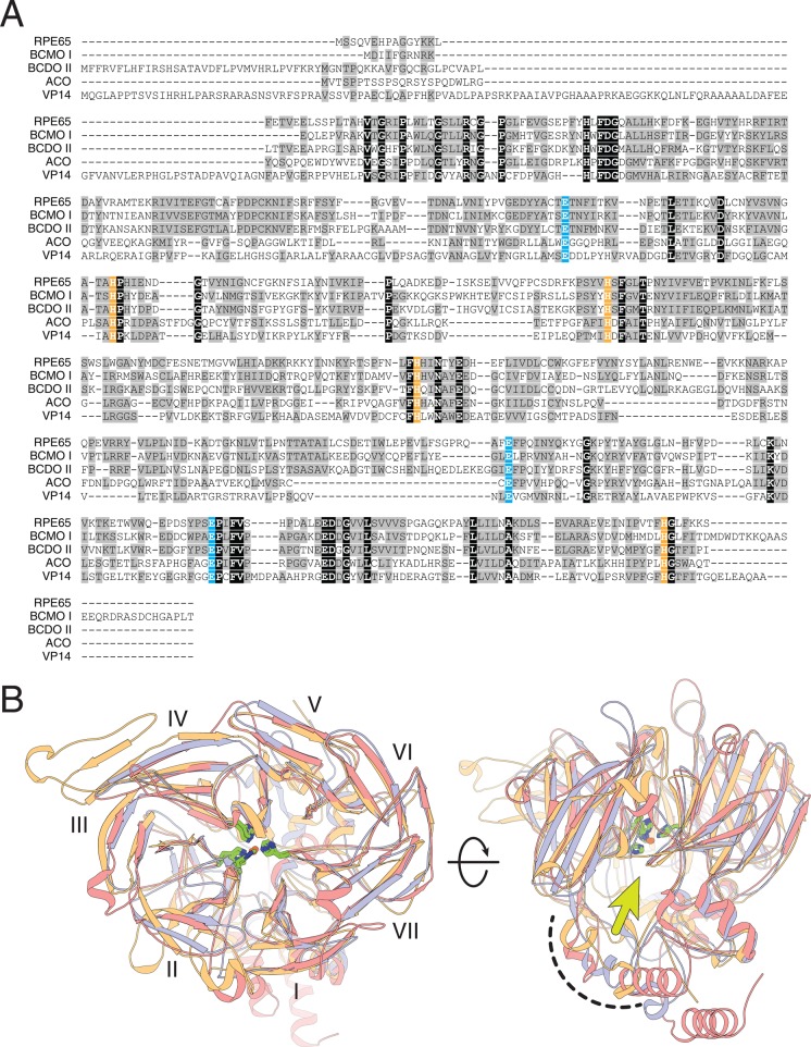 Figure 25