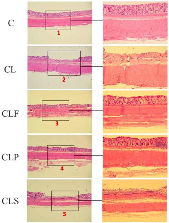 Fig 4