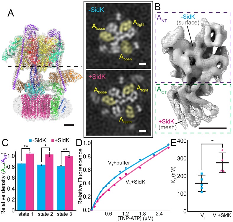 Fig 4