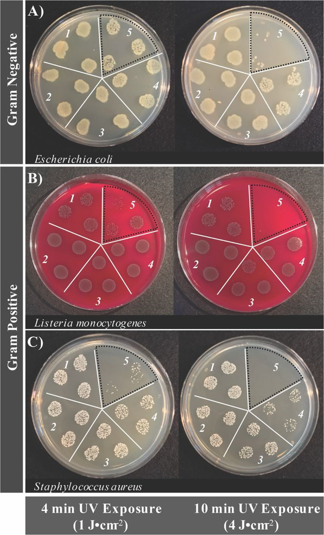 Figure 4.