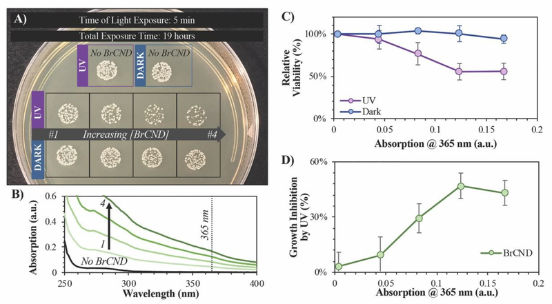 Figure 6.