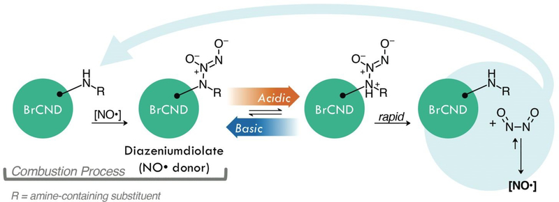 Scheme 2.