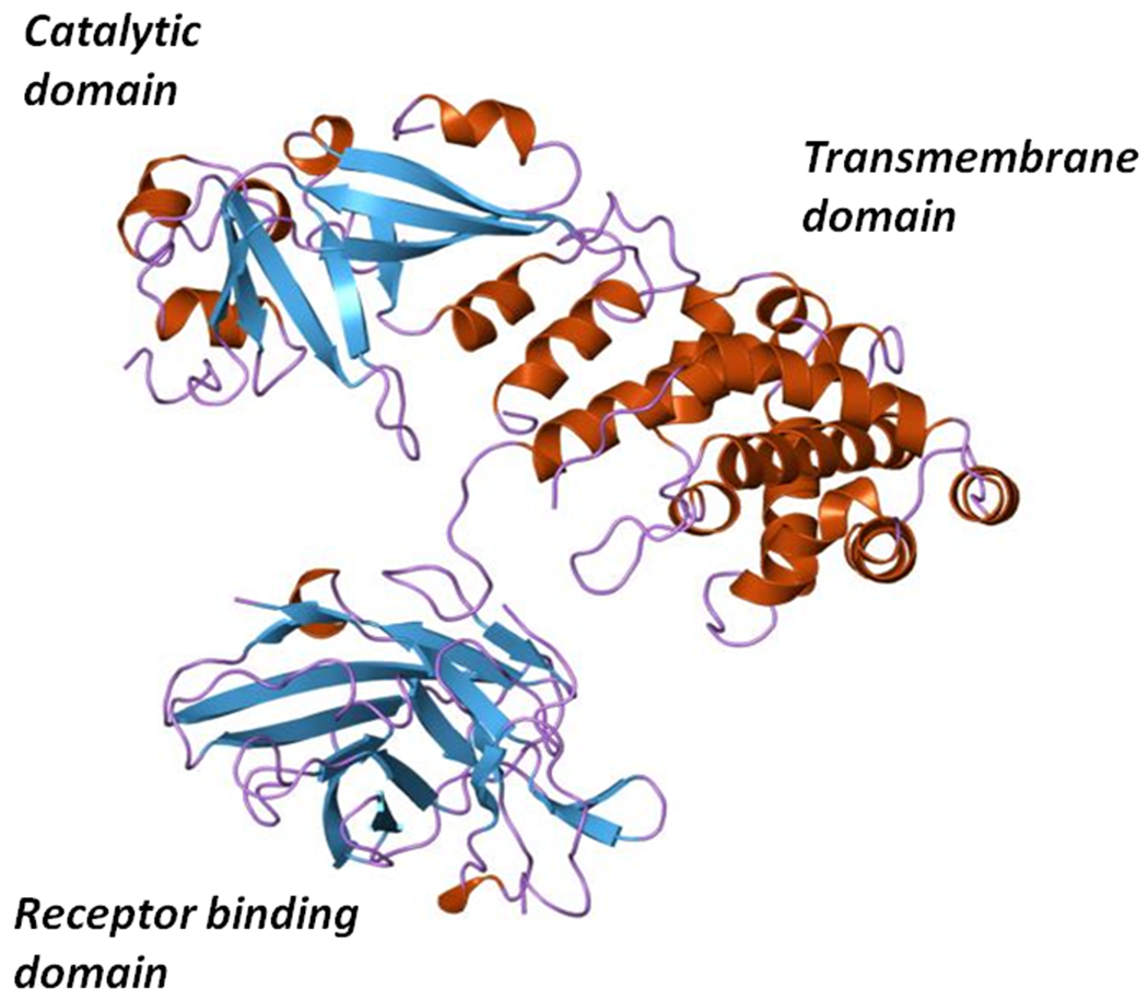 Figure 6: