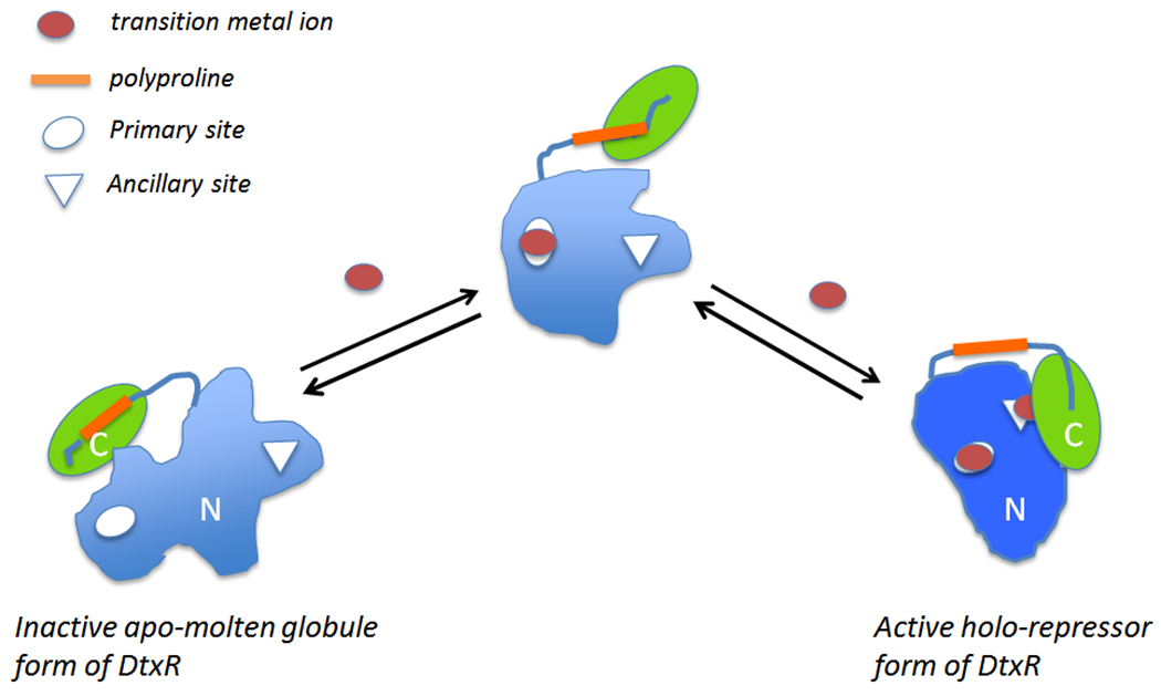 Figure 5: