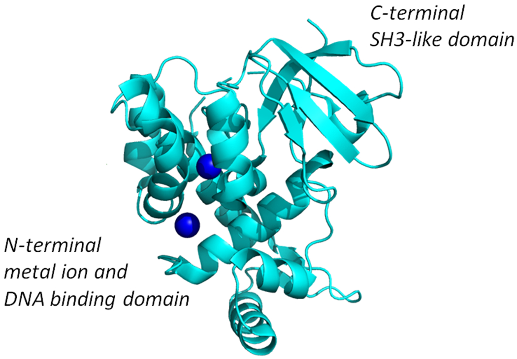 Figure 3: