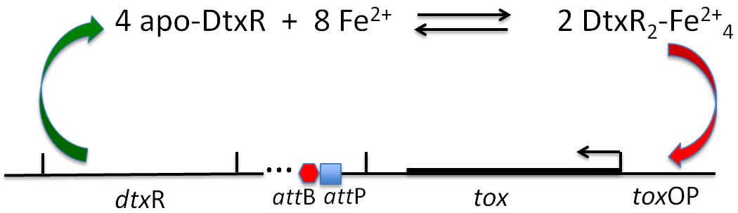 Figure 2: